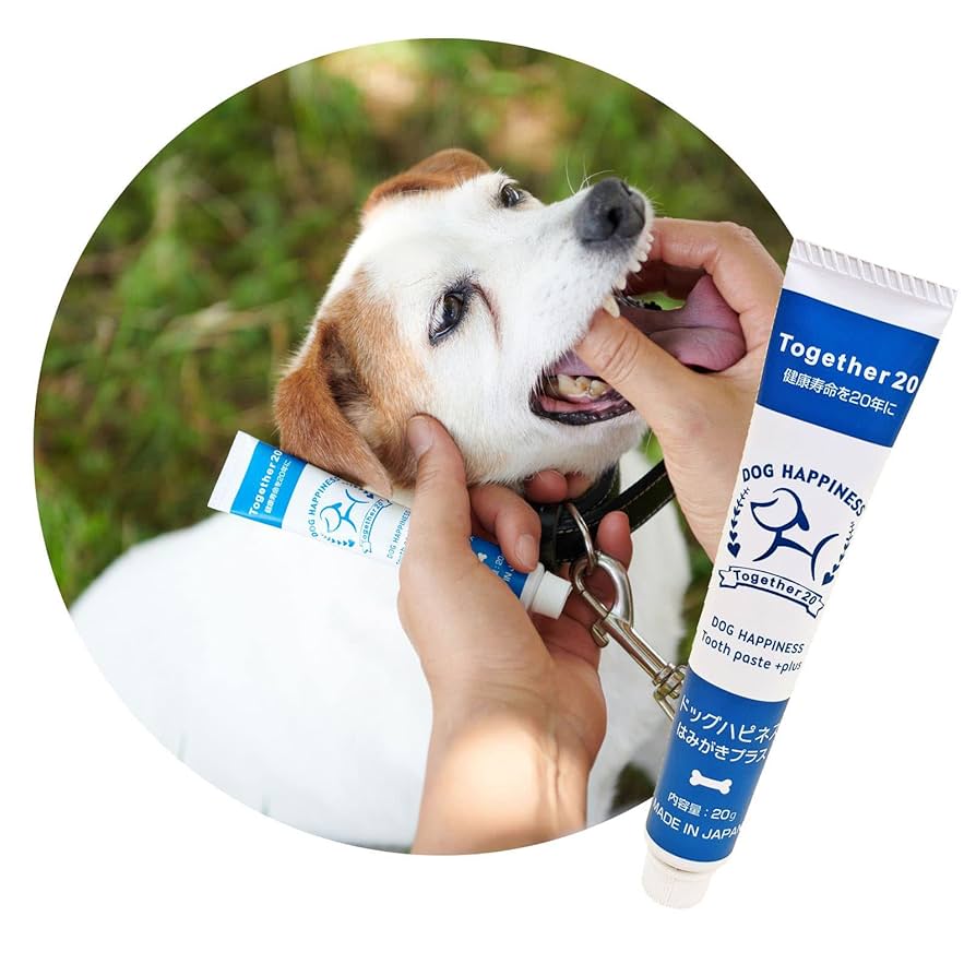 GR 犬　歯磨き粉 Amazon | ドッグハピネスはみがきプラス 犬 歯磨き 歯磨き粉